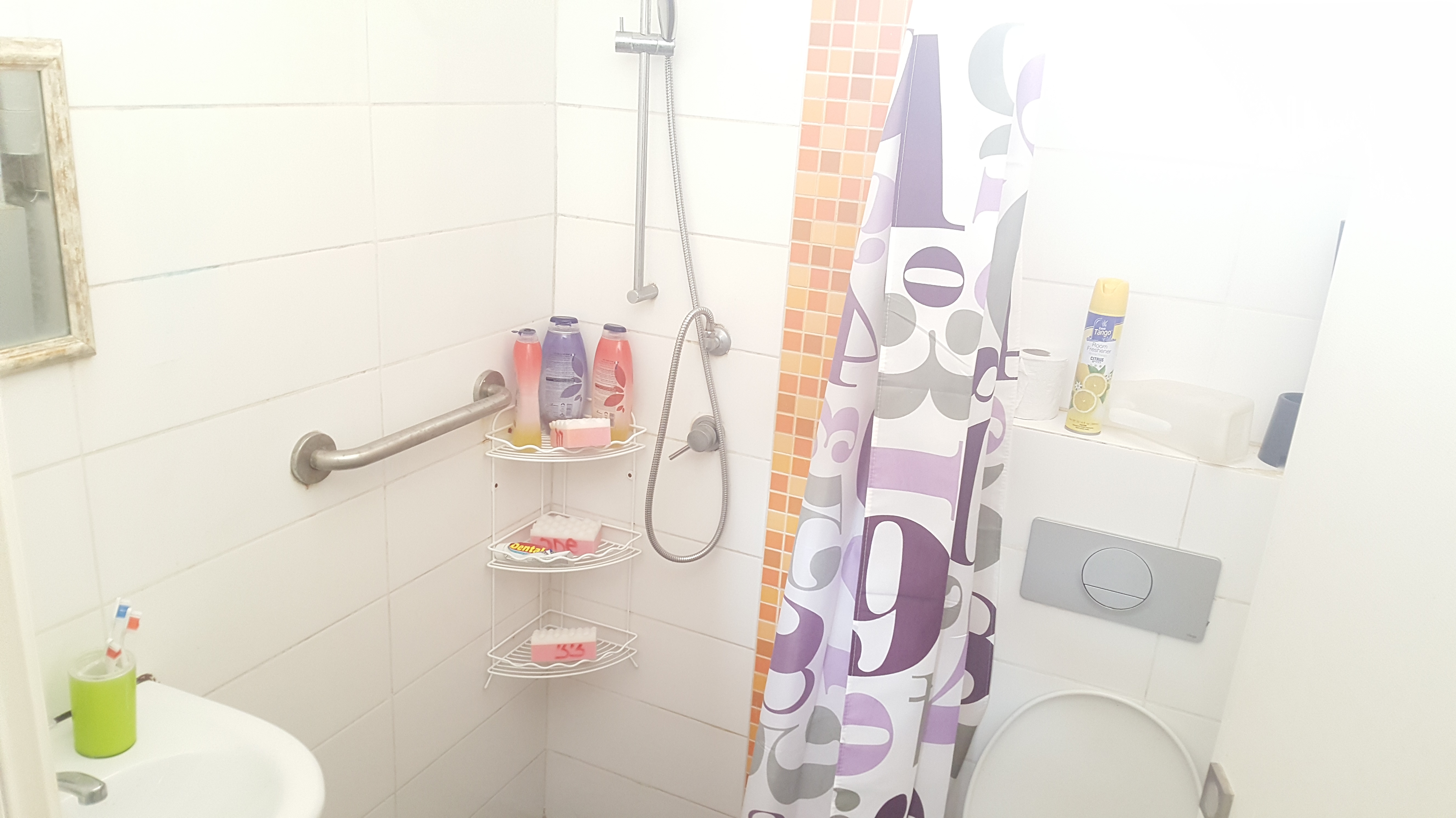 מיקלחת+שירותים *2
